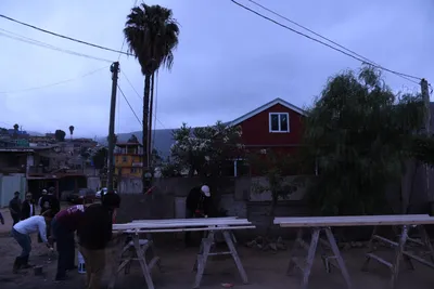 DSC_1248 (Large).JPG